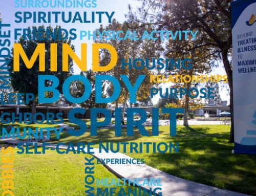 What It Takes to Build a Whole Health University: Lessons from Creating the Framework