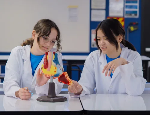 SCU Anatomy Lab Tours Inspire Future Healthcare Students