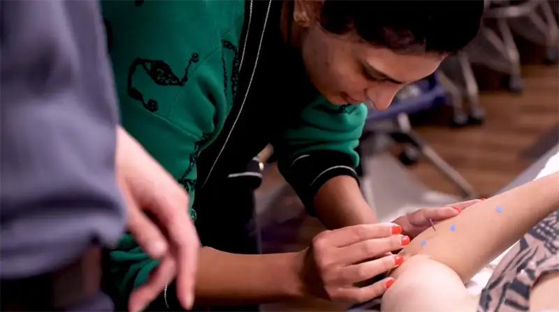 Acupuncture-Education-Trends