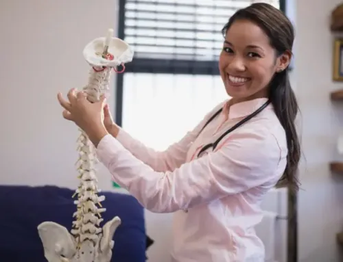 Do Chiropractors Work in Hospitals? Understanding Where Chiropractors Practice
