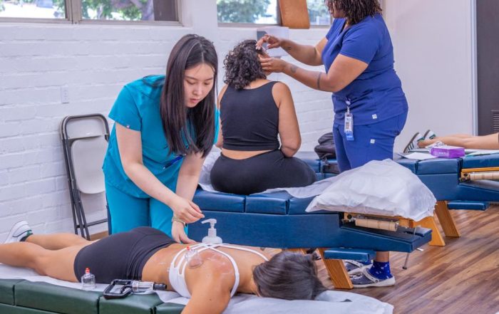 Interprofessional Education Model Builds Bridges