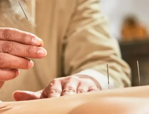Master’s or Doctorate? Choosing Your Acupuncture Path in Southern California