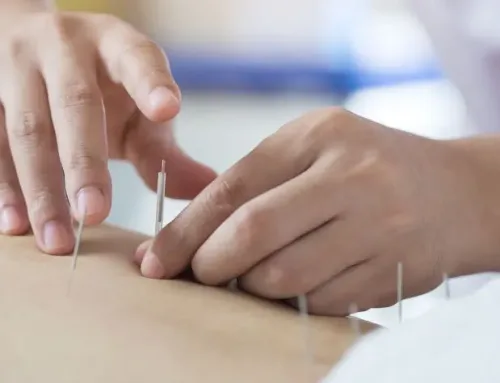 Master’s vs. Doctorate in Acupuncture—Which Path Is Right?
