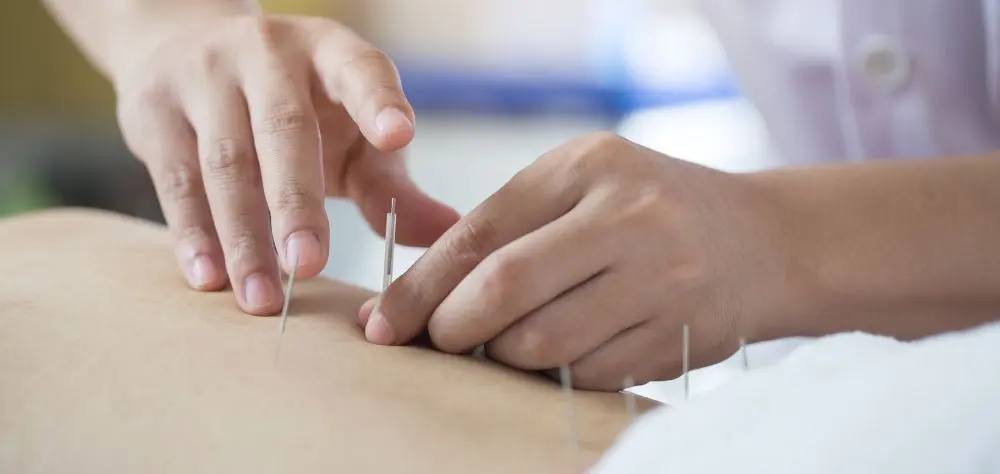 Master's vs. Doctorate in Acupuncture—Which Path Is Right?