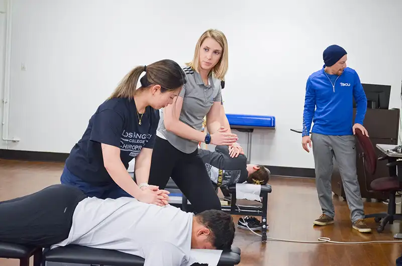 Online-Chiropractic-Schools
