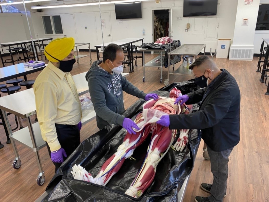 A photo of three SCU professors examining the Syndaver in the Anatomy Lab.