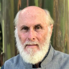 Vaidya David Frawley Vaidya David Frawley