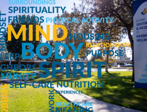 What It Takes to Build a Whole Health University: Lessons from Creating the Framework