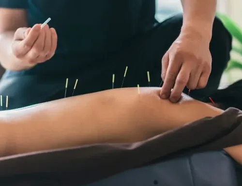 Acupuncture Education: Trends, Schools, and Best Hybrid Online Options