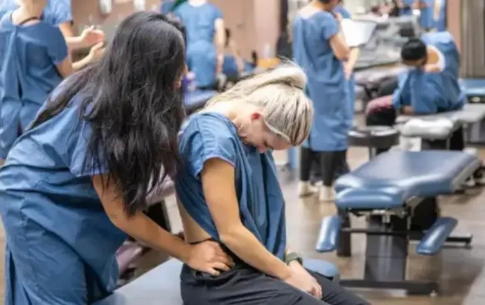 arizona chiropractic continuing education