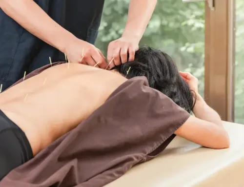 Online Acupuncture Programs: The Best Distance Learning Options Reviewed