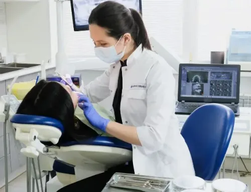 Exploring Pre-Dental Programs: A Guide for Future Dentists