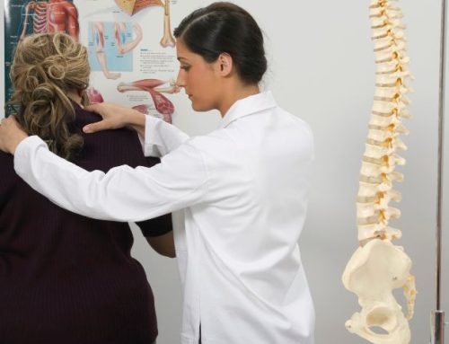 What Education is Required to Be a Chiropractor? Your Guide to Qualifications